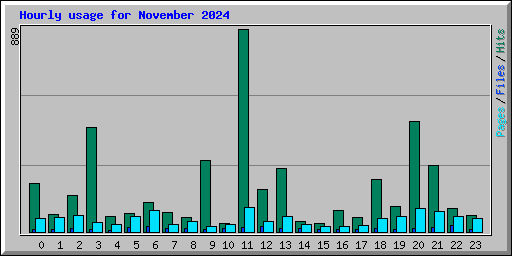 Hourly usage for November 2024